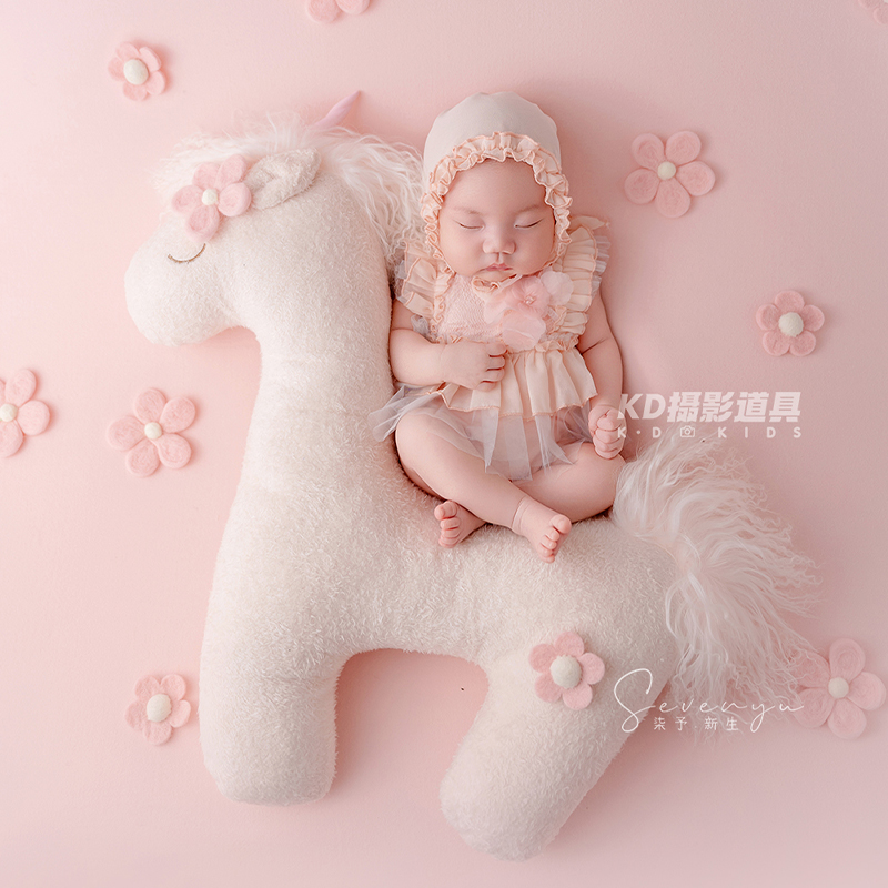 Schattig eenhoorn thema pasgeb - Photography Outfits recensie en prijs