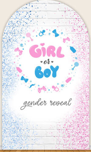 LS Gender Reveal Party Arch Co - Photography Questions recensie en prijs