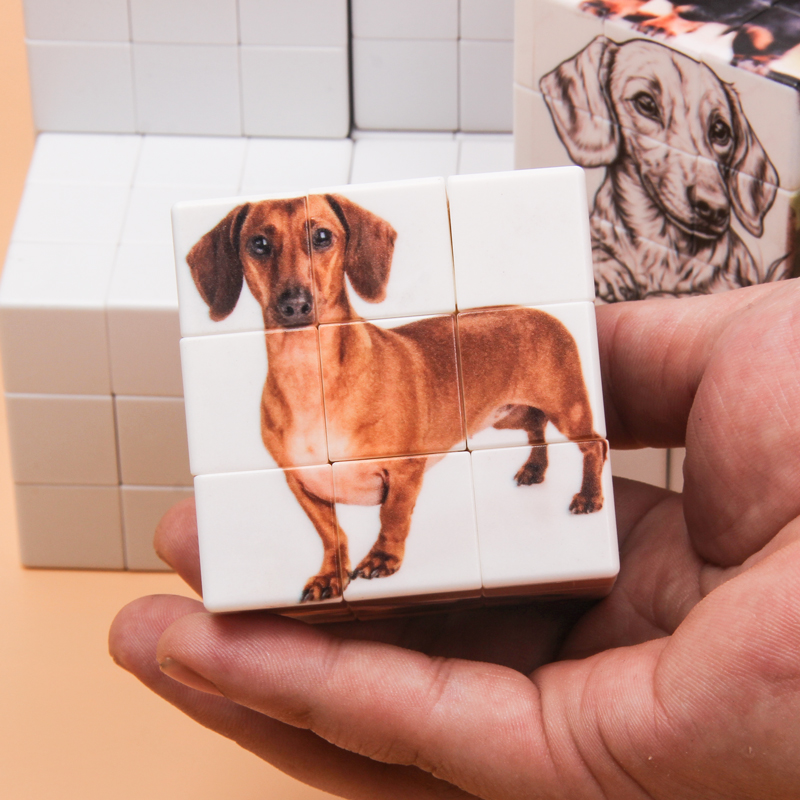 Gepersonaliseerde magische kub - Photography Exhibition recensie en prijs