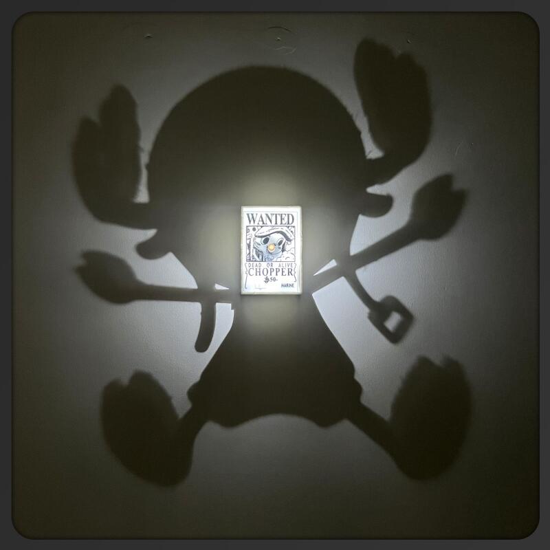 Cartoon speelgoed One Piece Li - Photography Darkroom recensie en prijs